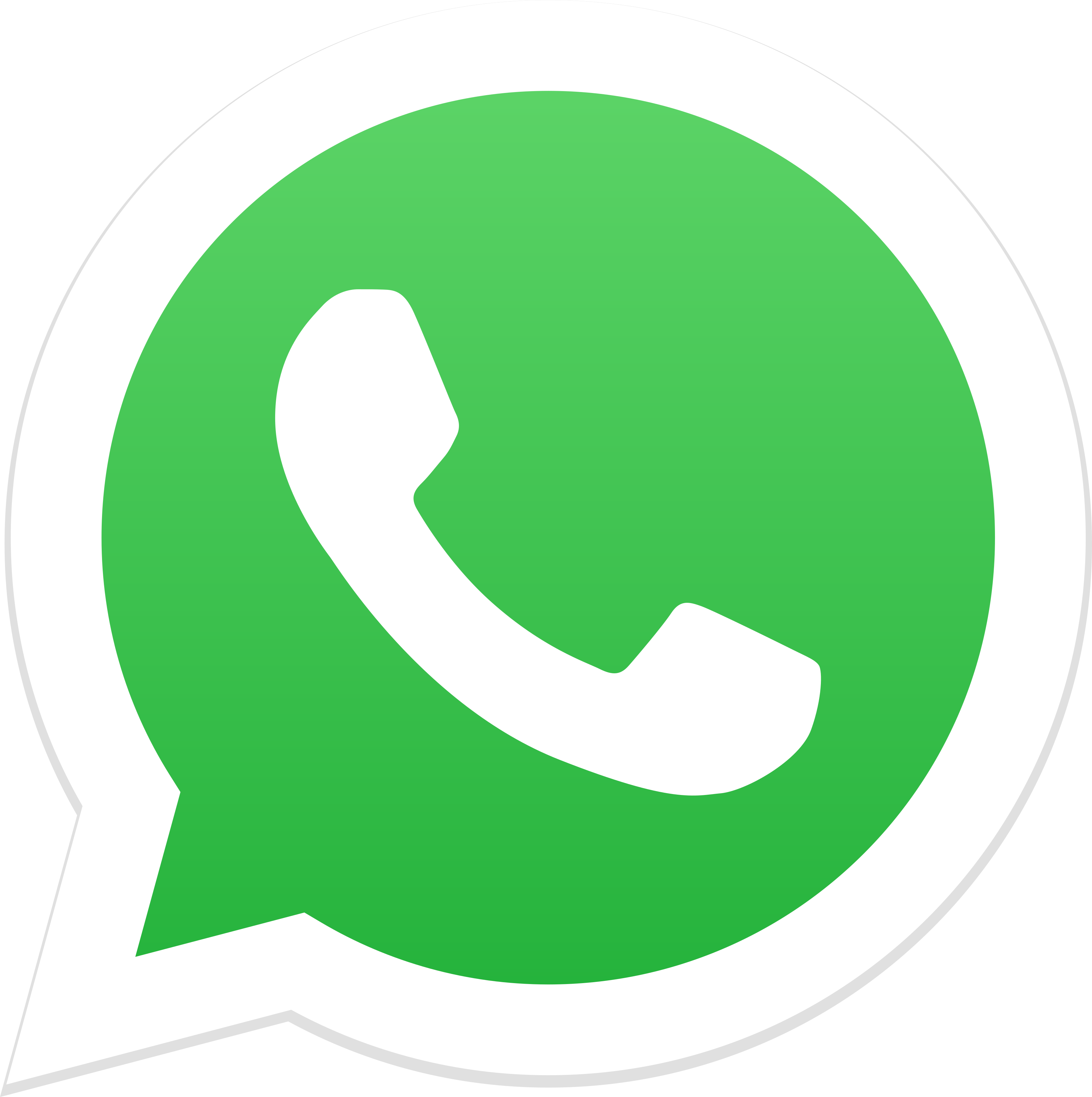 Whatsapp pas de fond