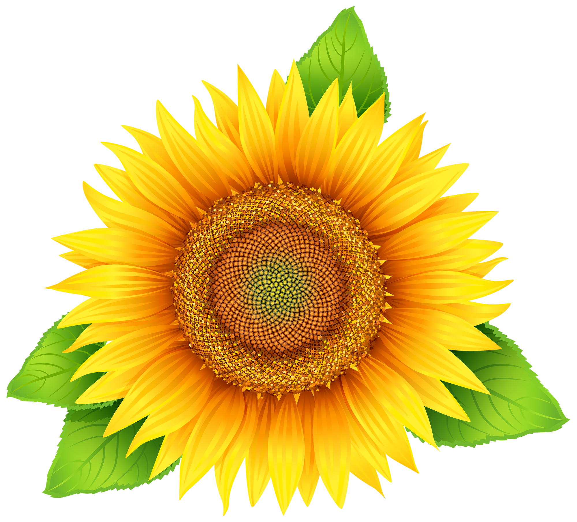 Yellow Sunflower Download Free PNG