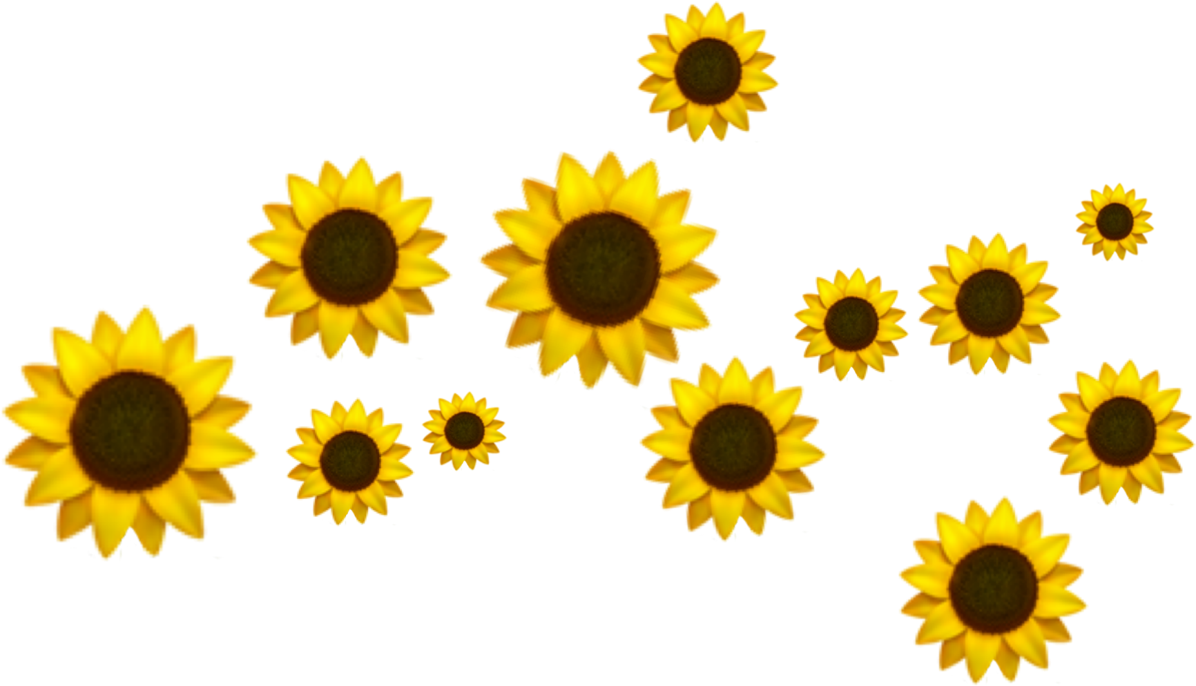 Yellow Sunflower Transparent Background