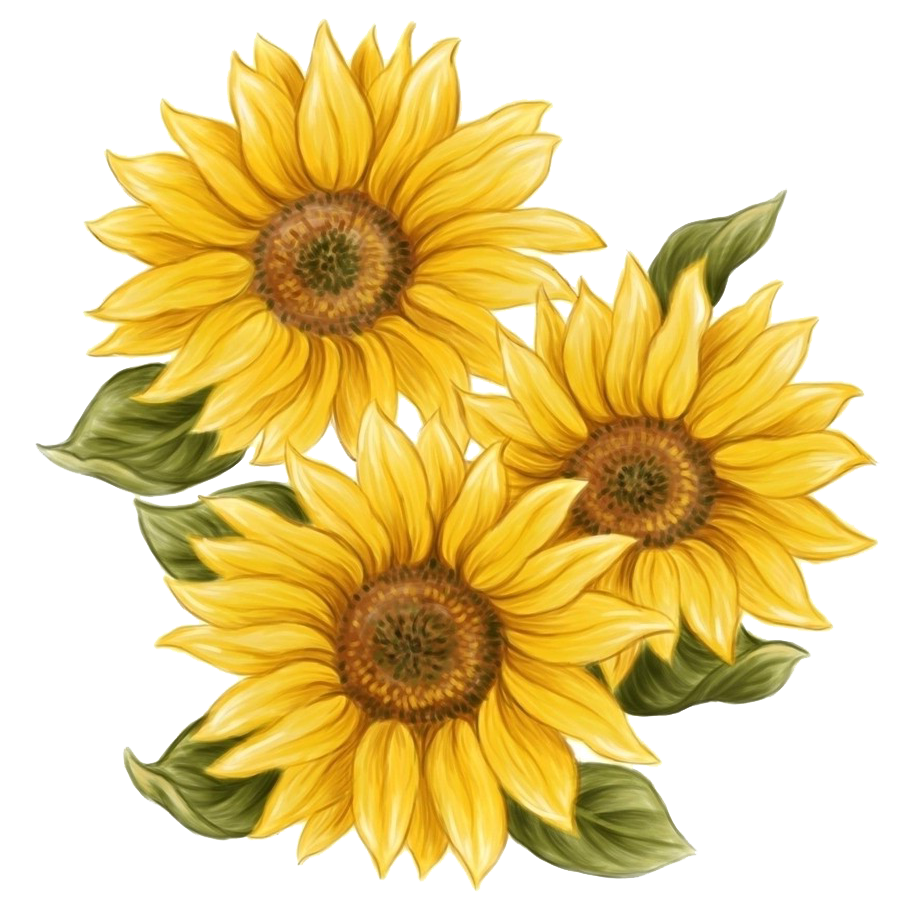 Yellow Sunflower Transparent Images