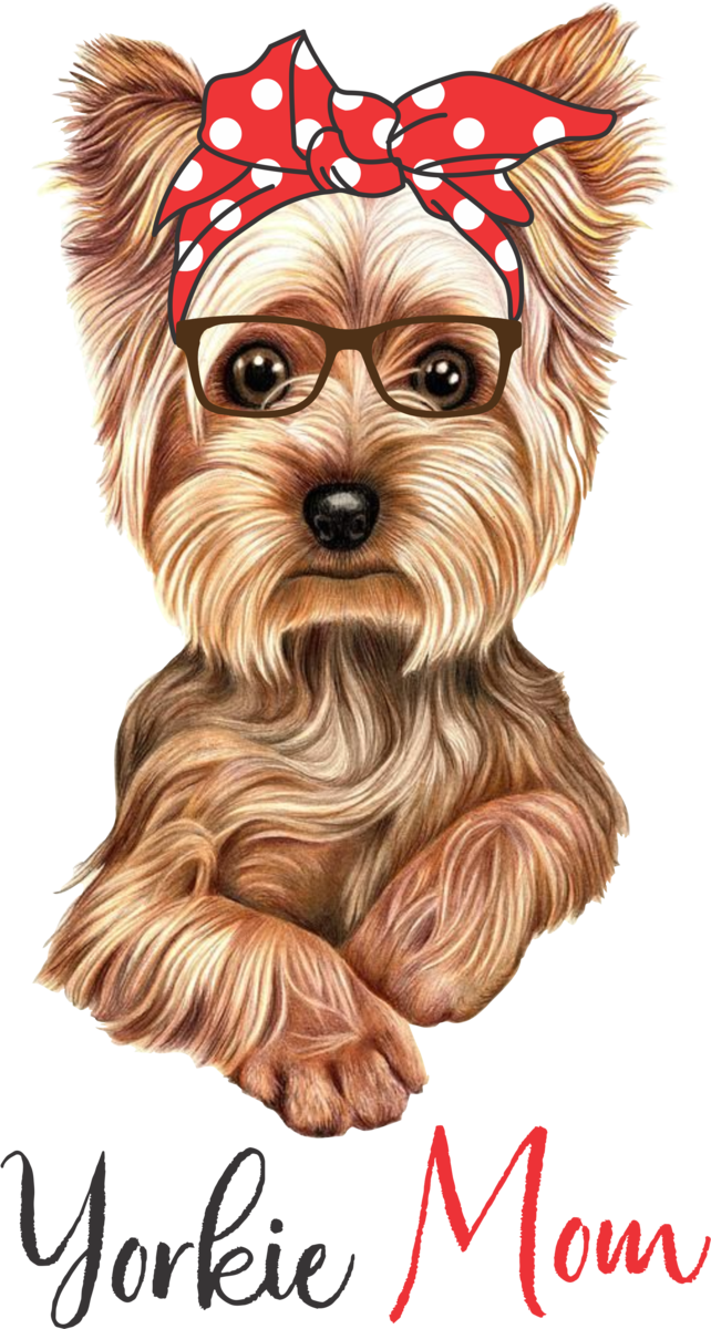 Yorkshire Terrier PNG Photos