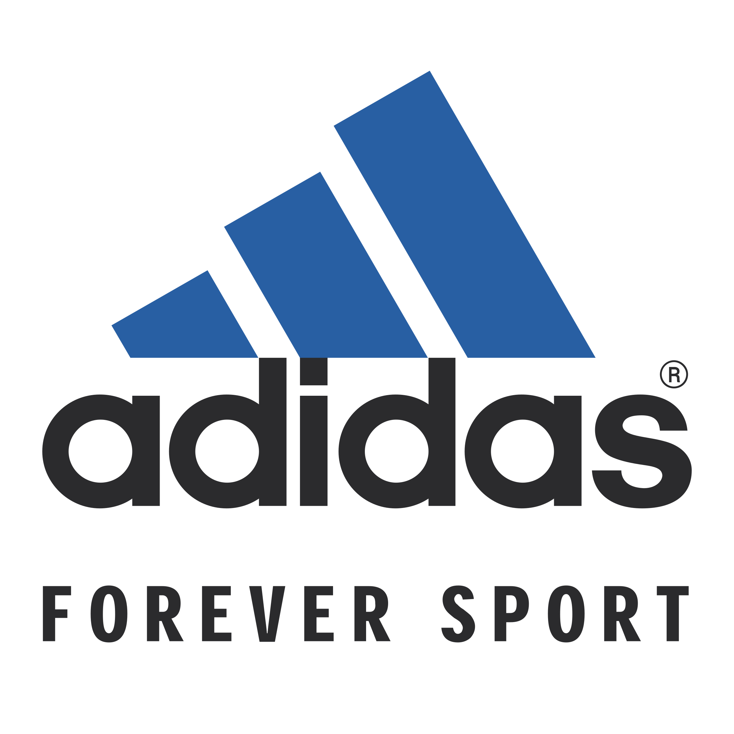 Adidas Transparent File