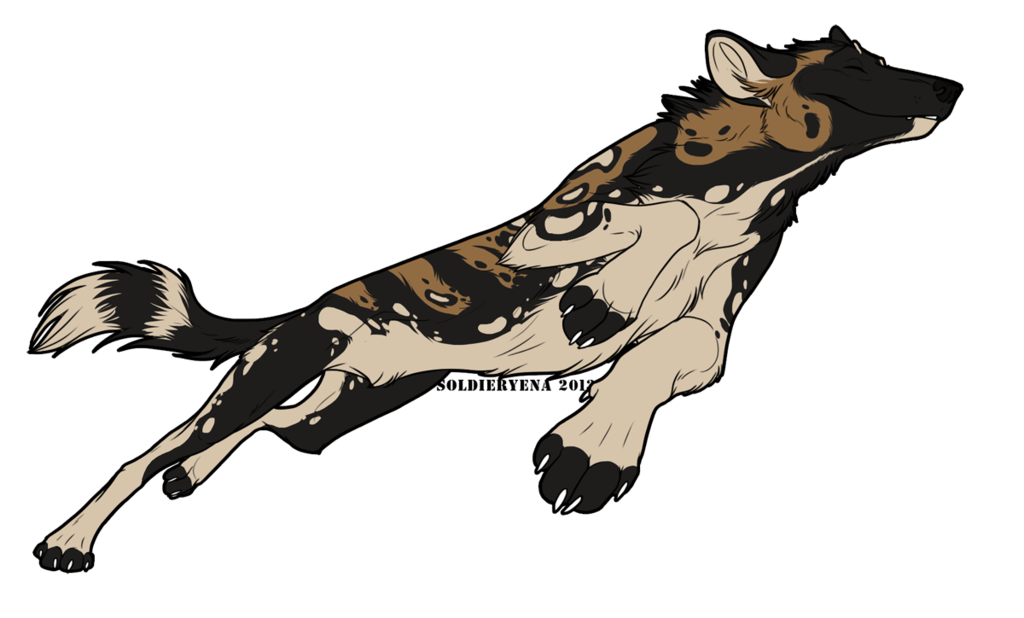 African Wild Dog PNG Background