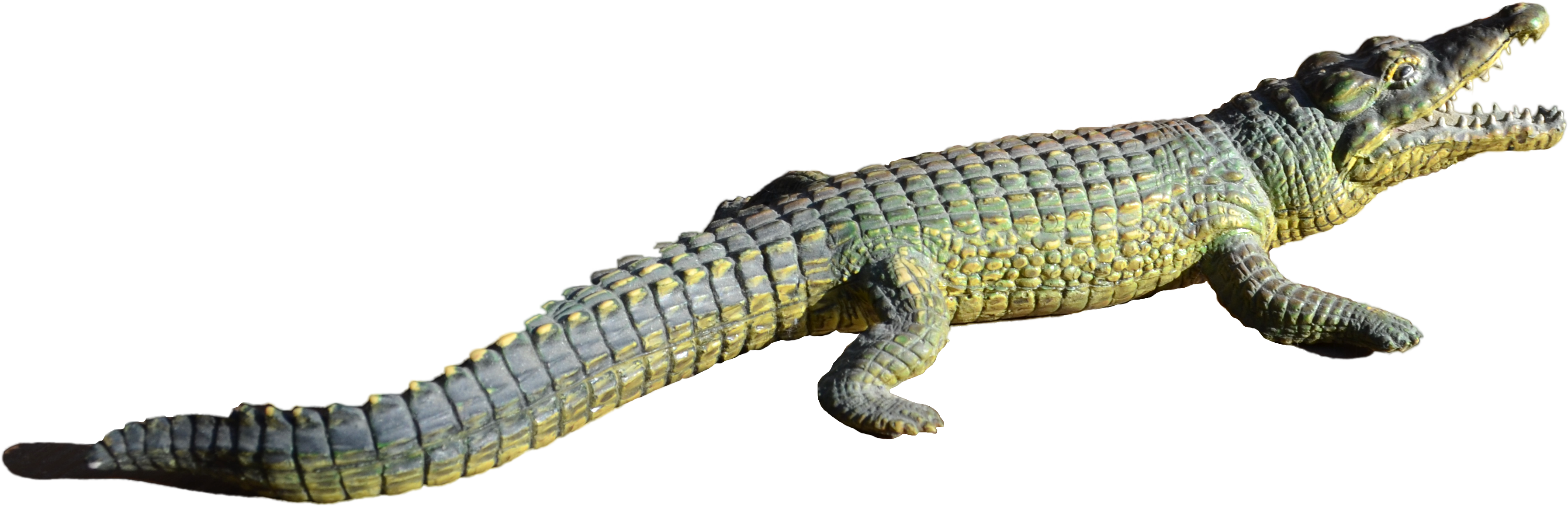 Alligator PNG Images HD