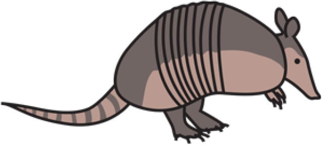 Armadillo PNG Background