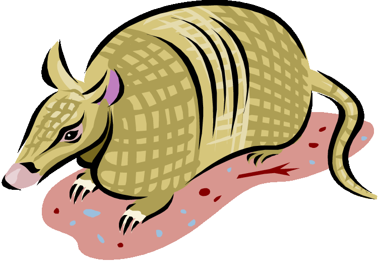 Armadillo PNG Clipart Background