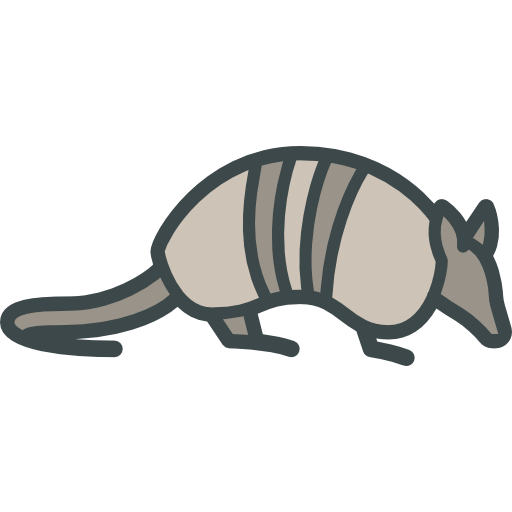 Armadillo PNG HD Quality