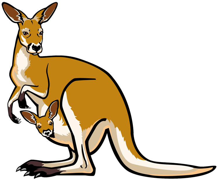 Australia Kangaroo PNG Images HD