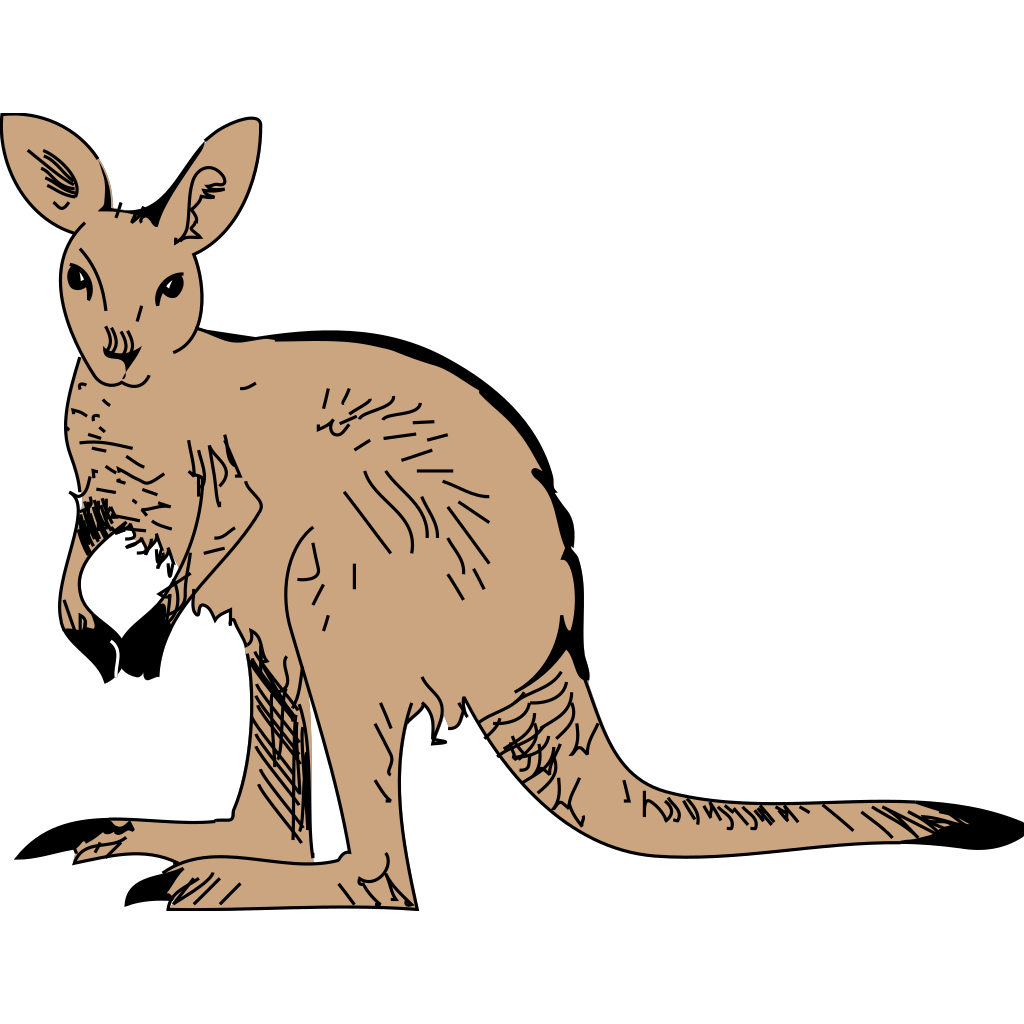 Australia Kangaroo Transparent File