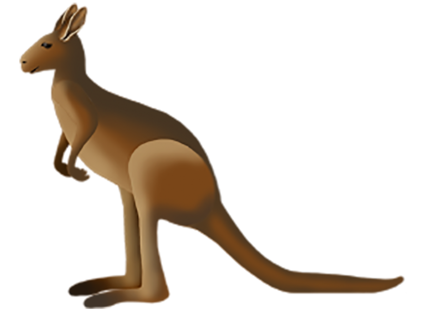 Australia Kangaroo Transparent Images