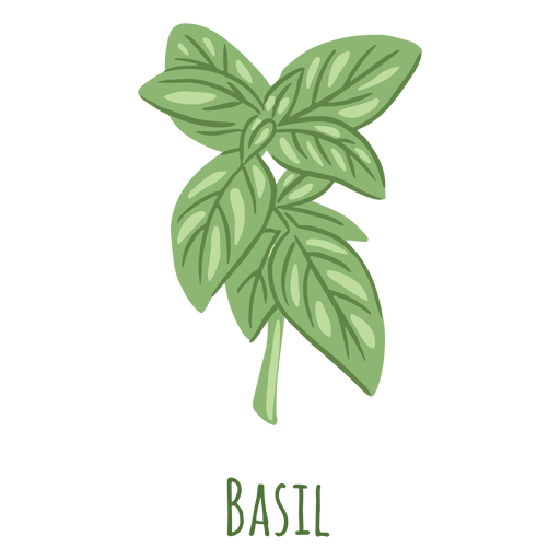Basil PNG HD Quality
