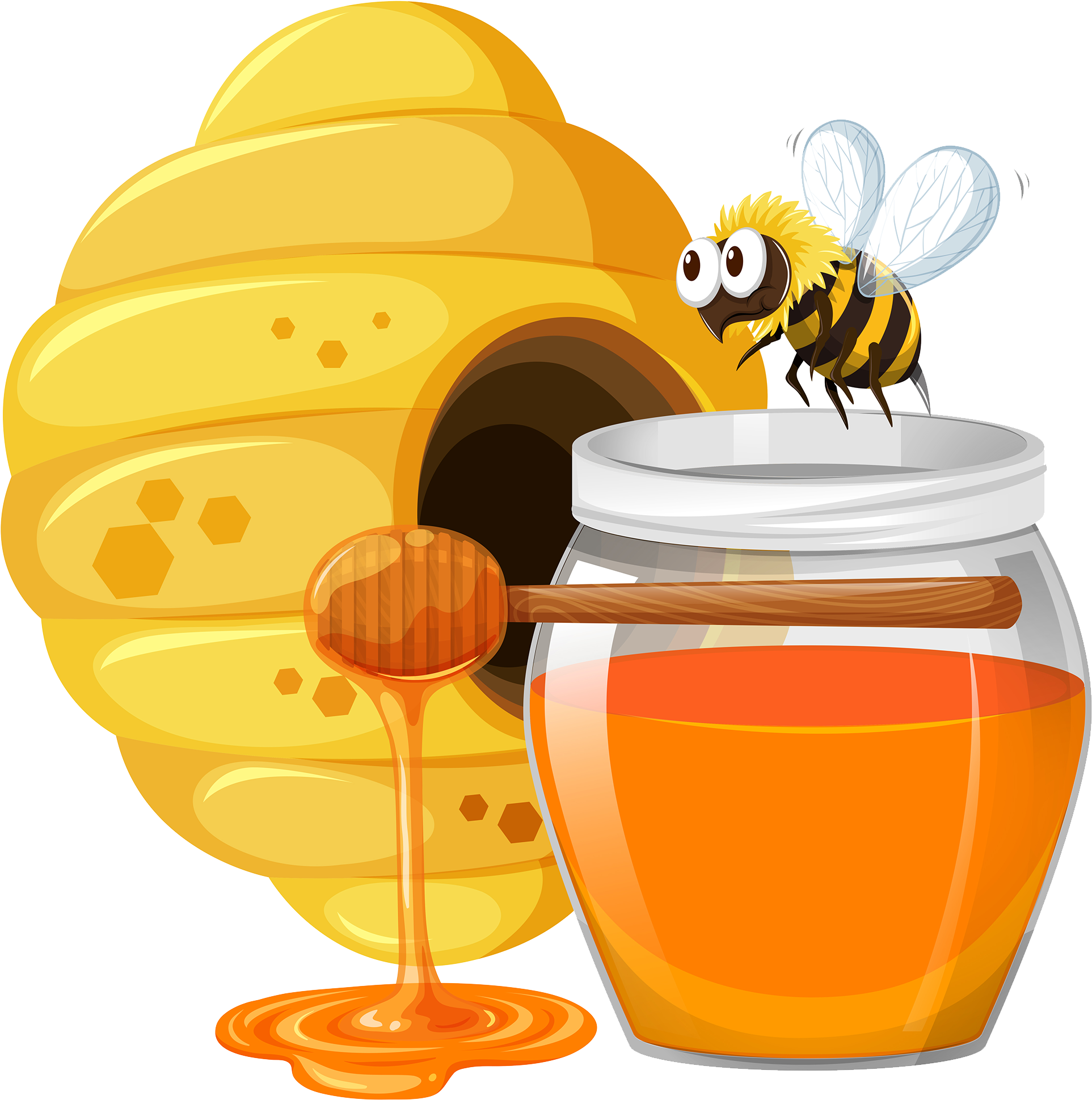Bee PNG HD Quality