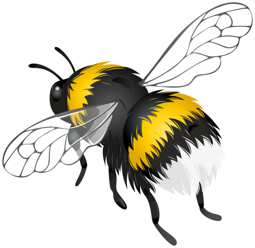 Bee PNG Pic Background