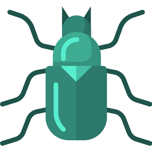 Beetle Insect Free PNG