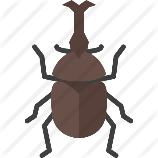 Beetle Insect PNG Clipart Background