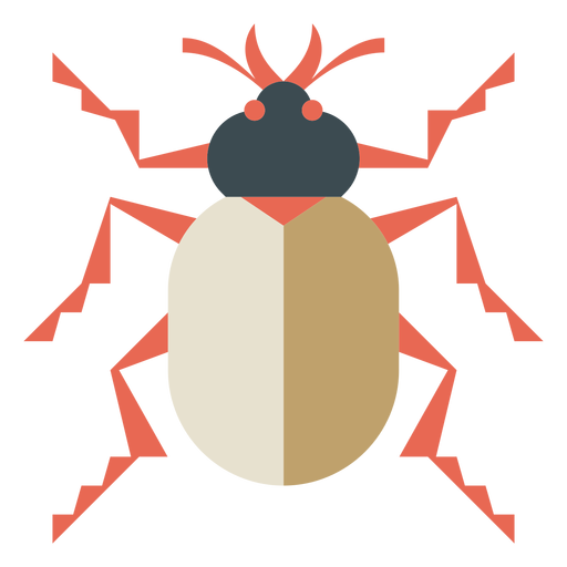 Beetle Insect Transparent Background