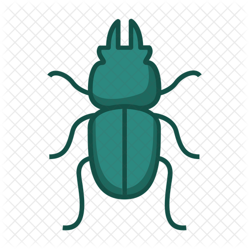 Beetle Insect Transparent Free PNG