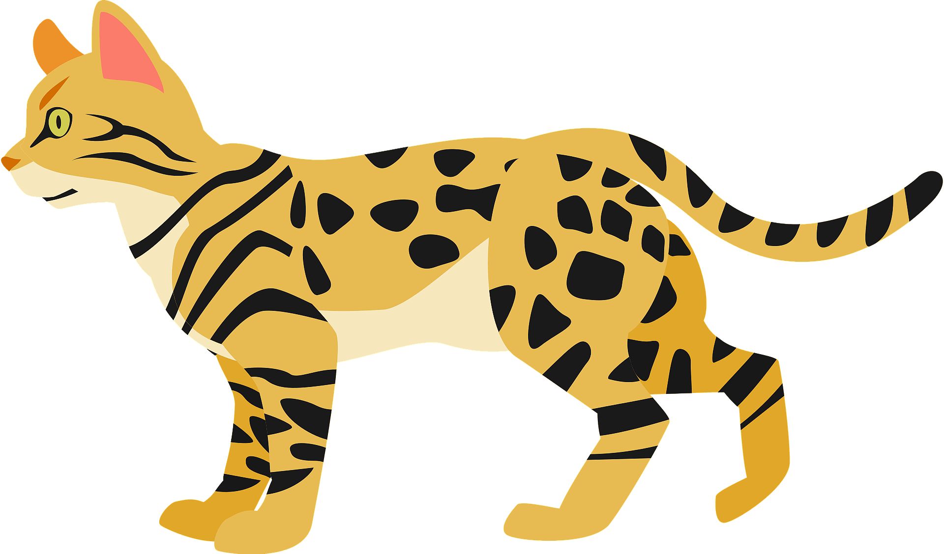 Bengal Cats PNG Free File Download