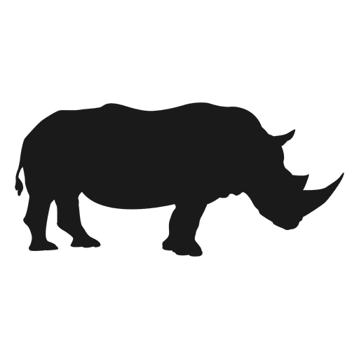 Black Rhinoceros Download Free PNG