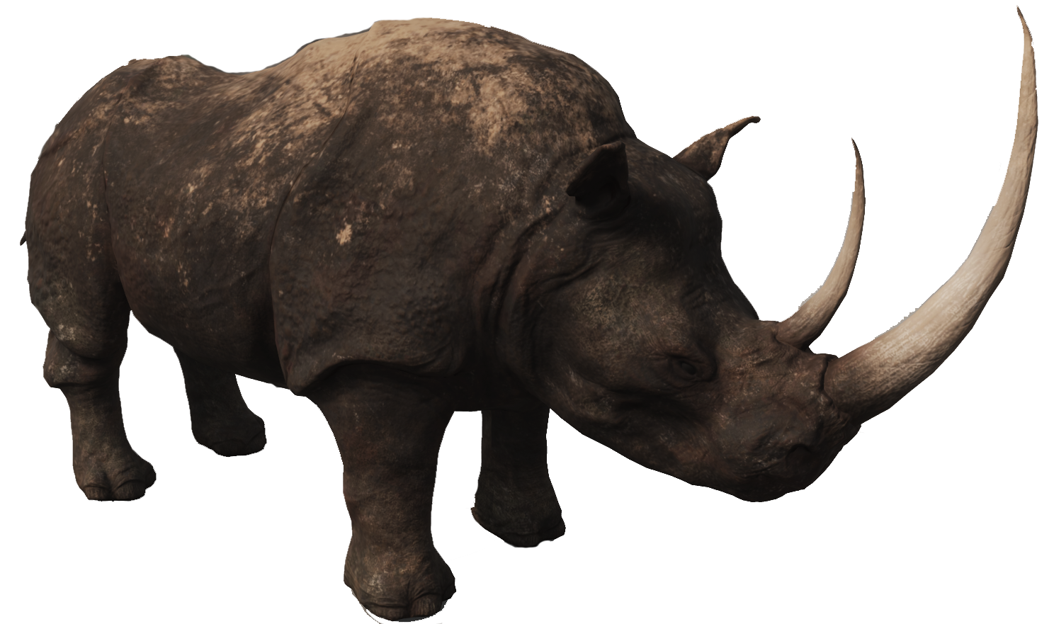 Black Rhinoceros PNG Free File Download
