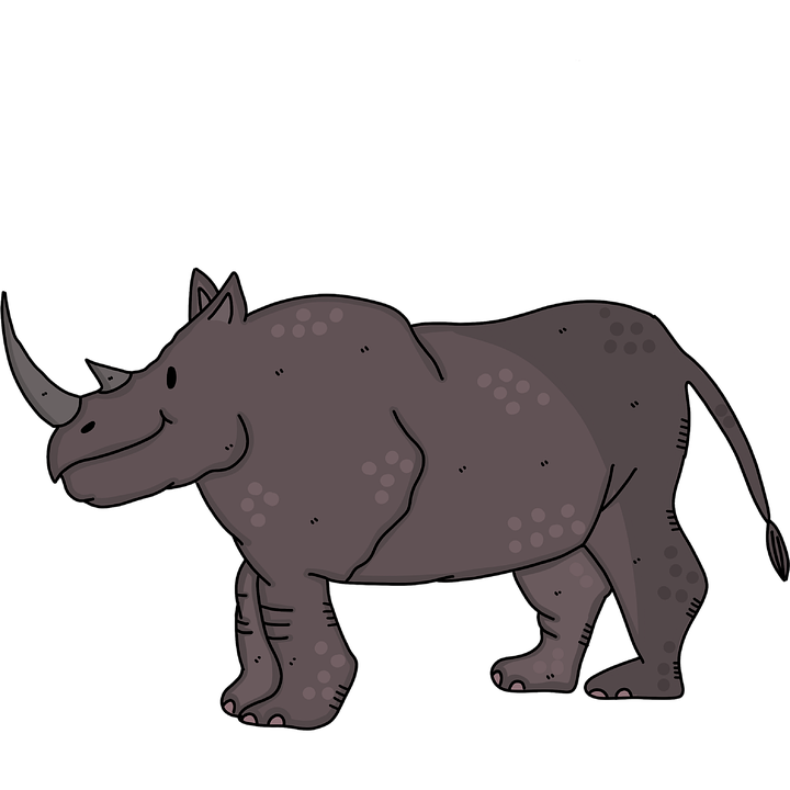 Black Rhinoceros PNG Photo Image