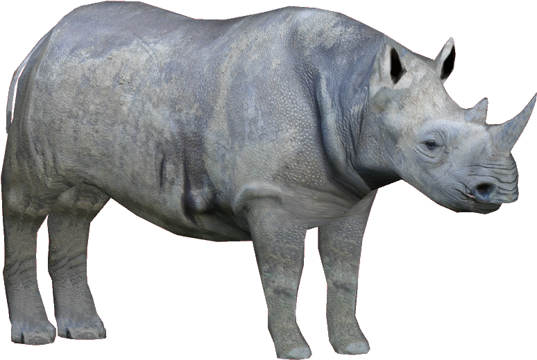 Black Rhinoceros Transparent Background