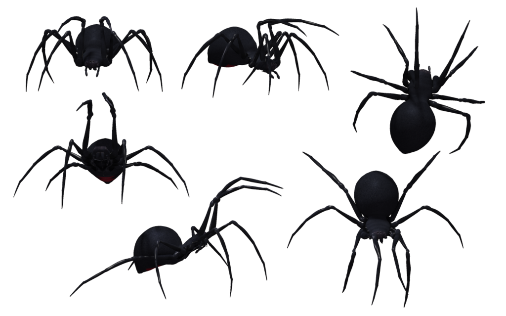 Black Widow Spiders Background PNG