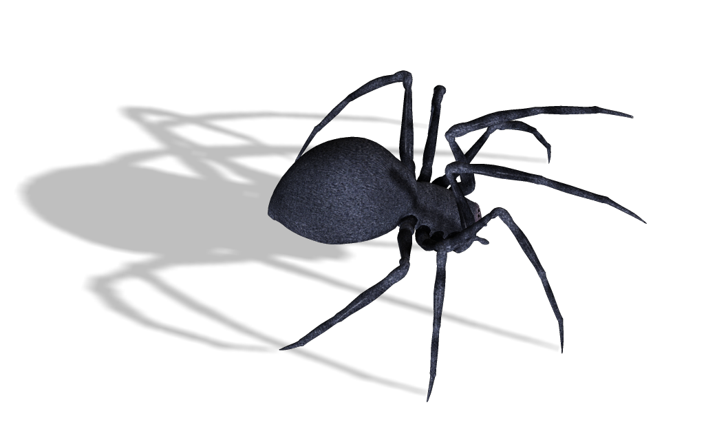 Black Widow Spiders PNG Pic Background