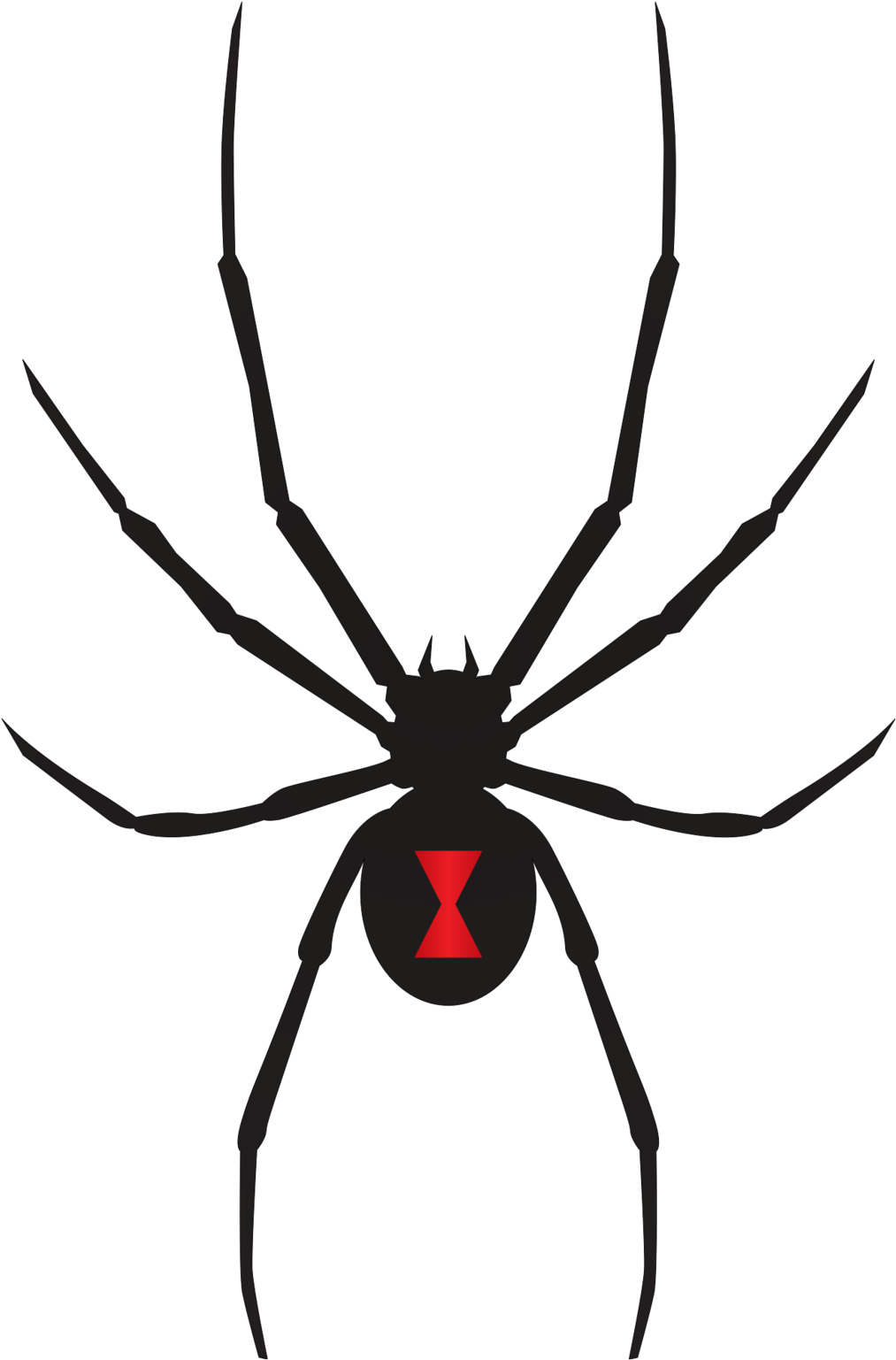 Black Widow Spiders Transparent File