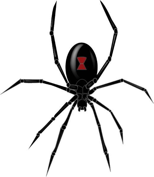 Black Widow Spiders Transparent Free PNG