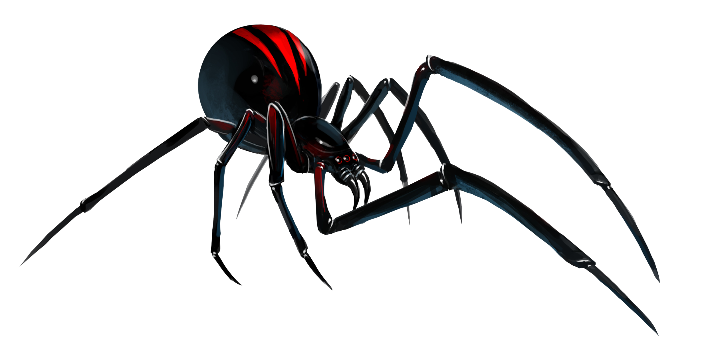 Black Widow Spiders Transparent Images