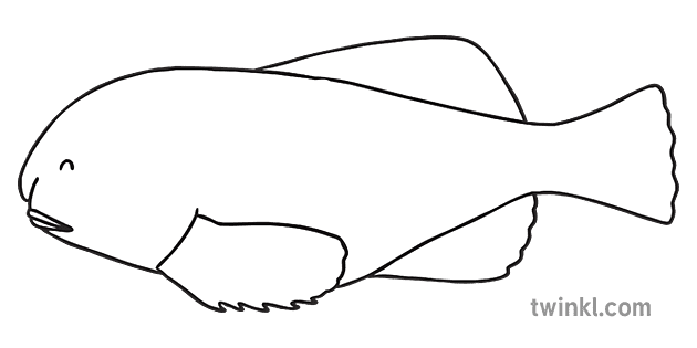 Blob Fish Background PNG