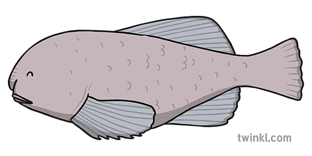 Blob Fish PNG Photo Image