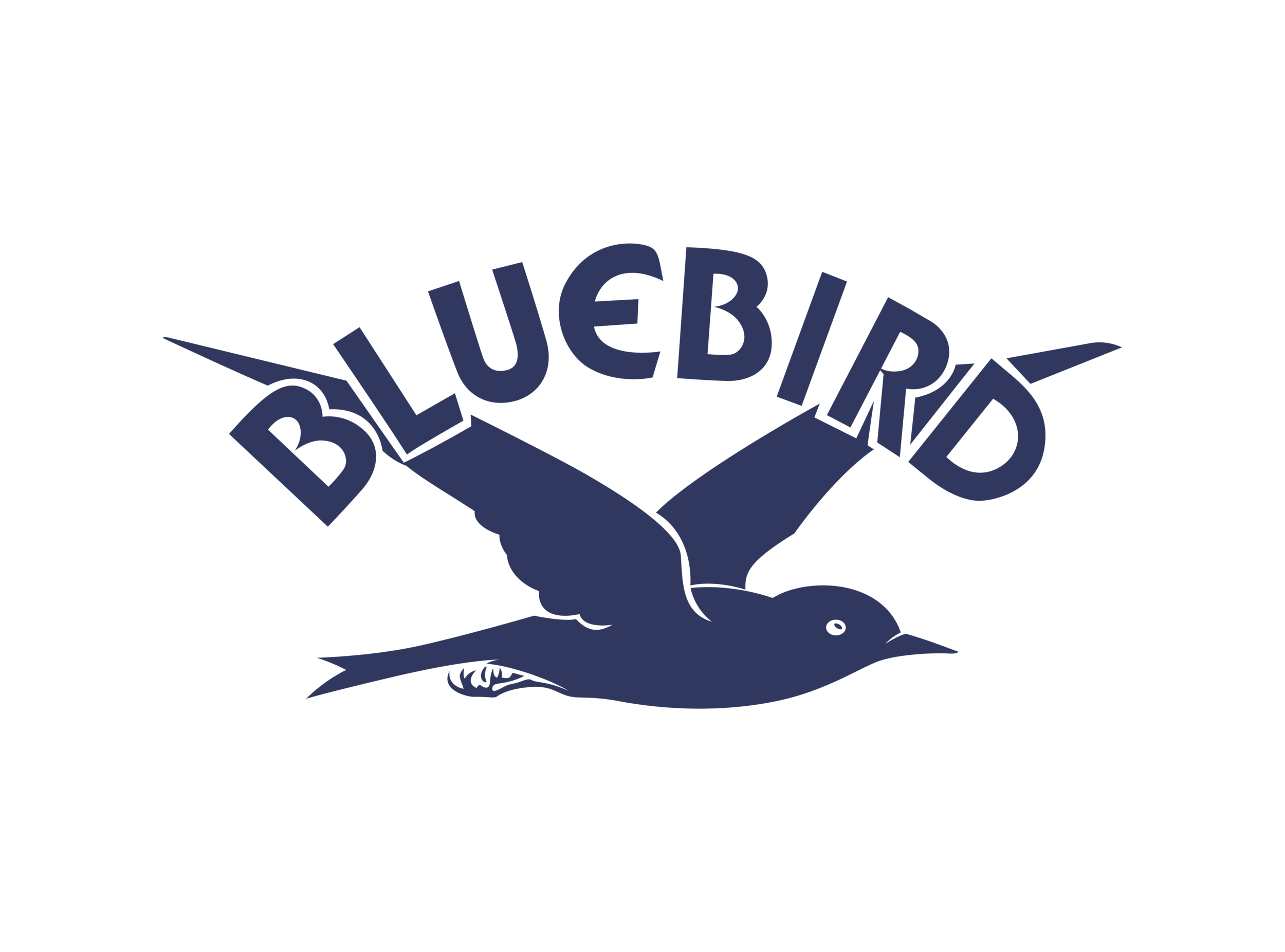 Bluebird No Background