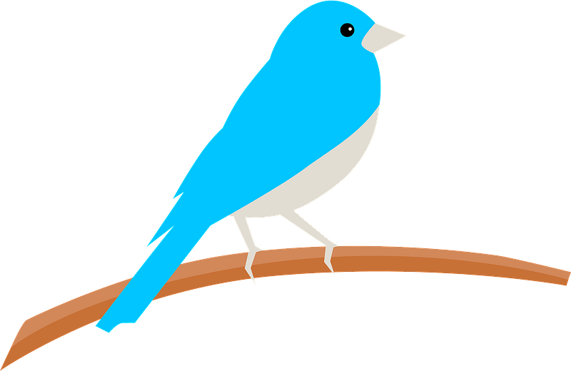 Bluebird PNG Pic Background