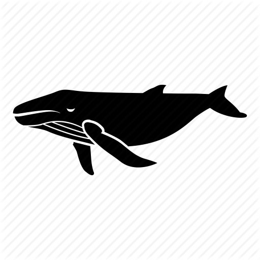 Bowhead Whales Transparent Background