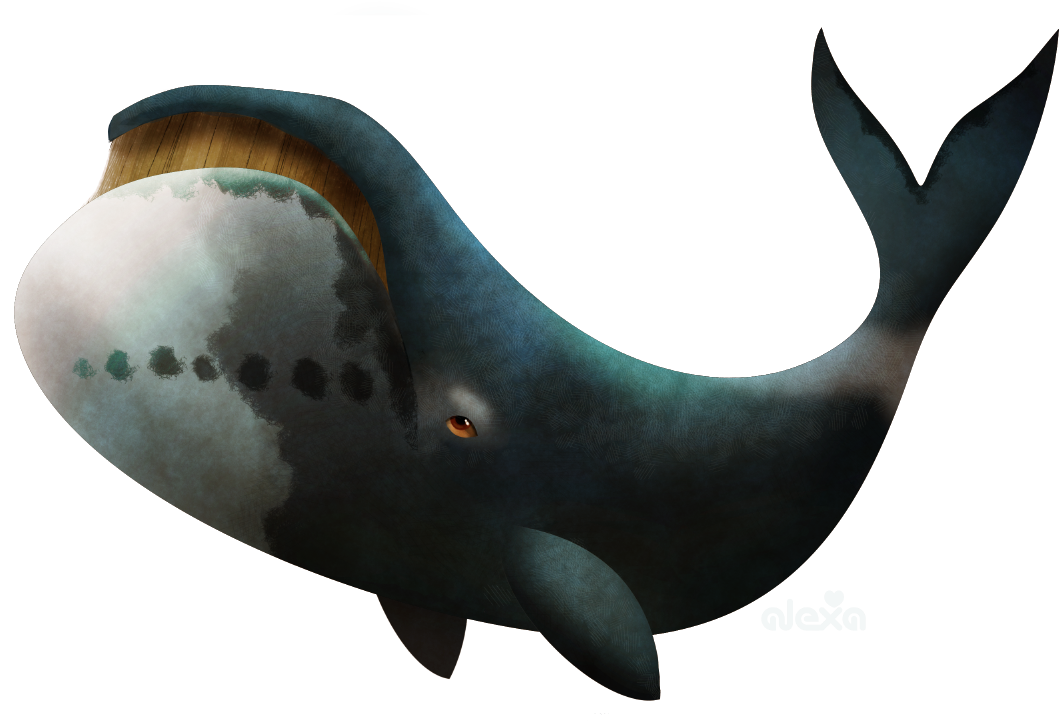 Bowhead Whales Transparent PNG