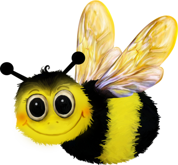 Bumblebee Insect PNG Free File Download