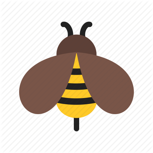 Bumblebee Insect PNG Images HD
