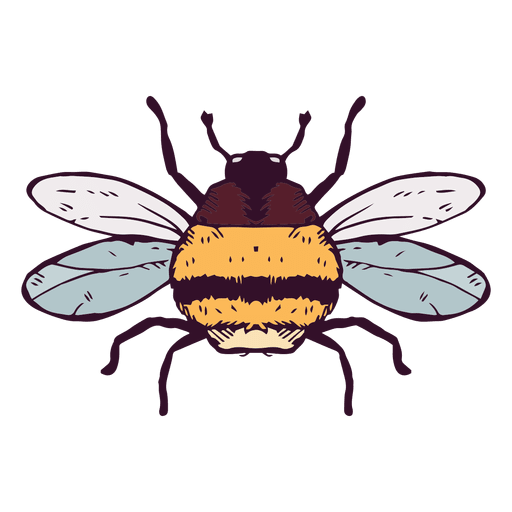 Bumblebee Insect Transparent File