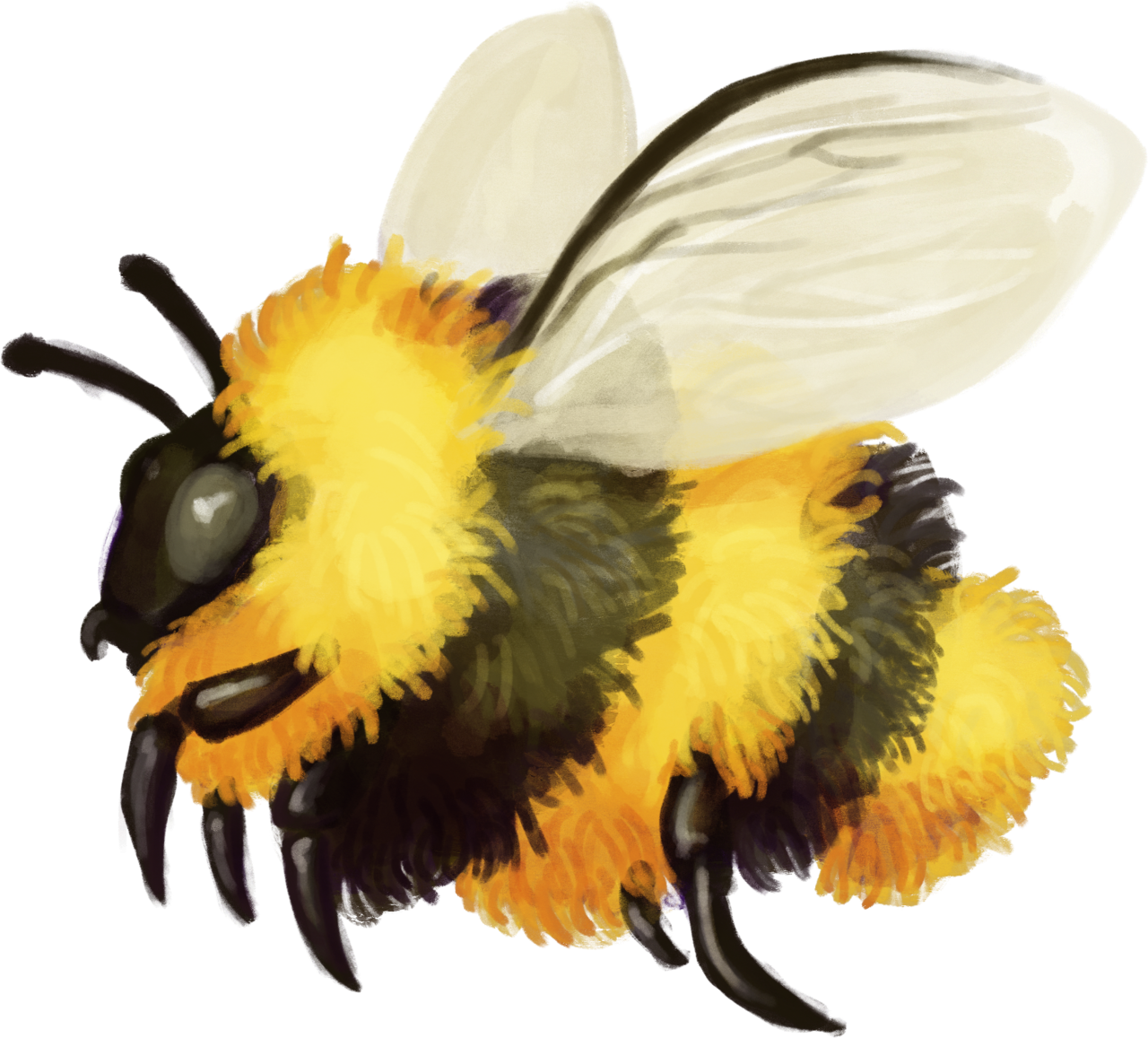 Bumblebee Insect Transparent Free PNG