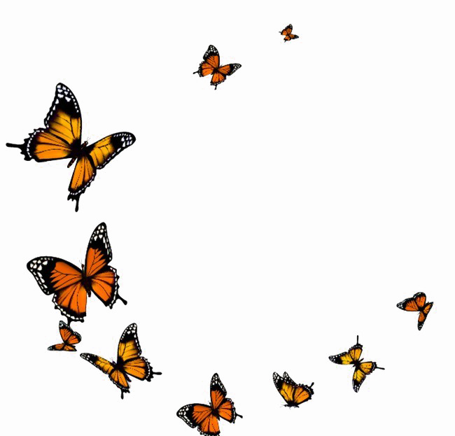 Butterflies Background PNG