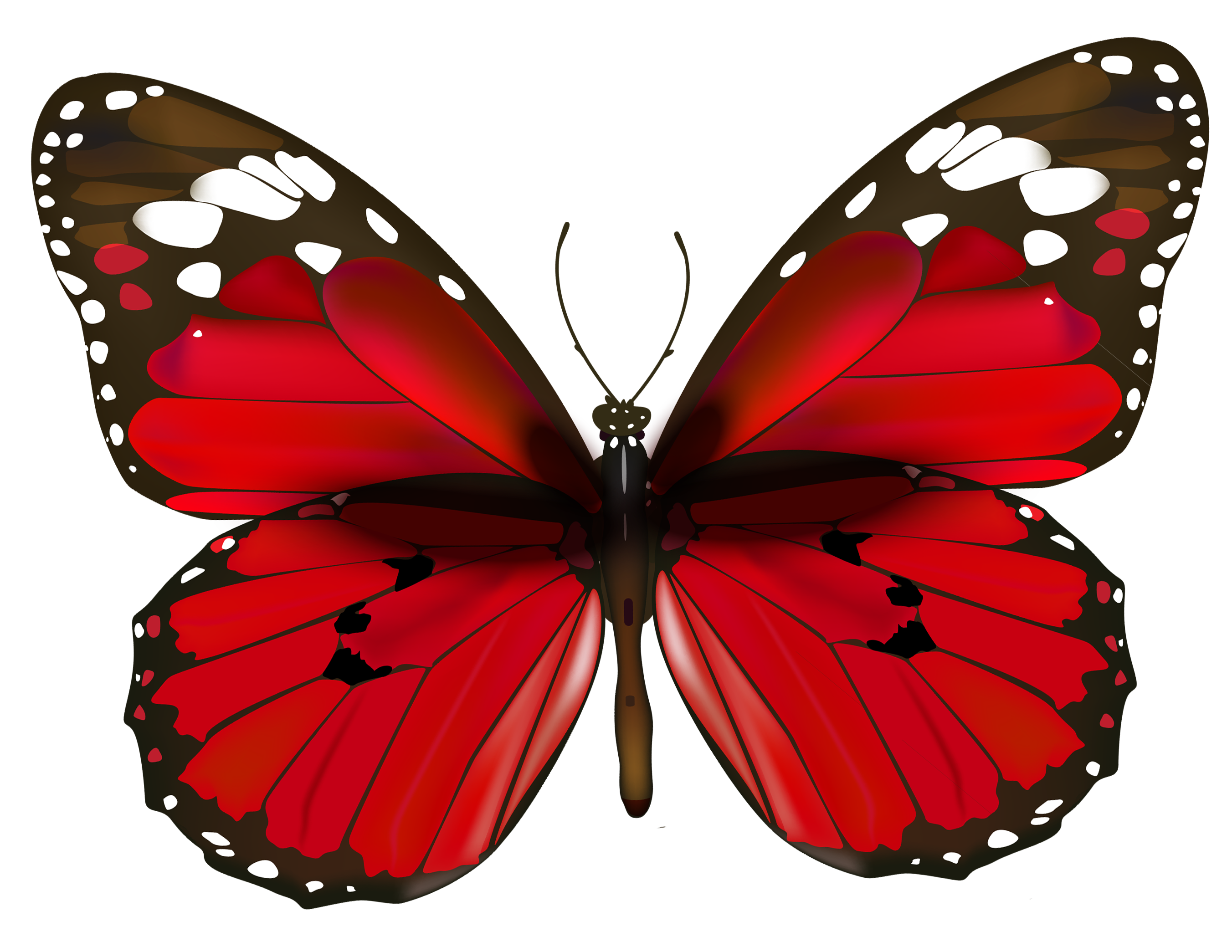Butterflies PNG Clipart Background