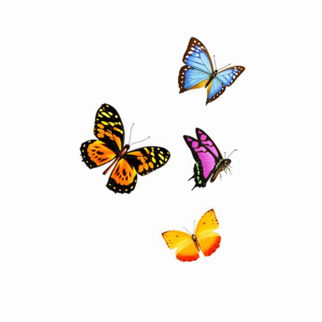 Butterflies PNG HD Quality