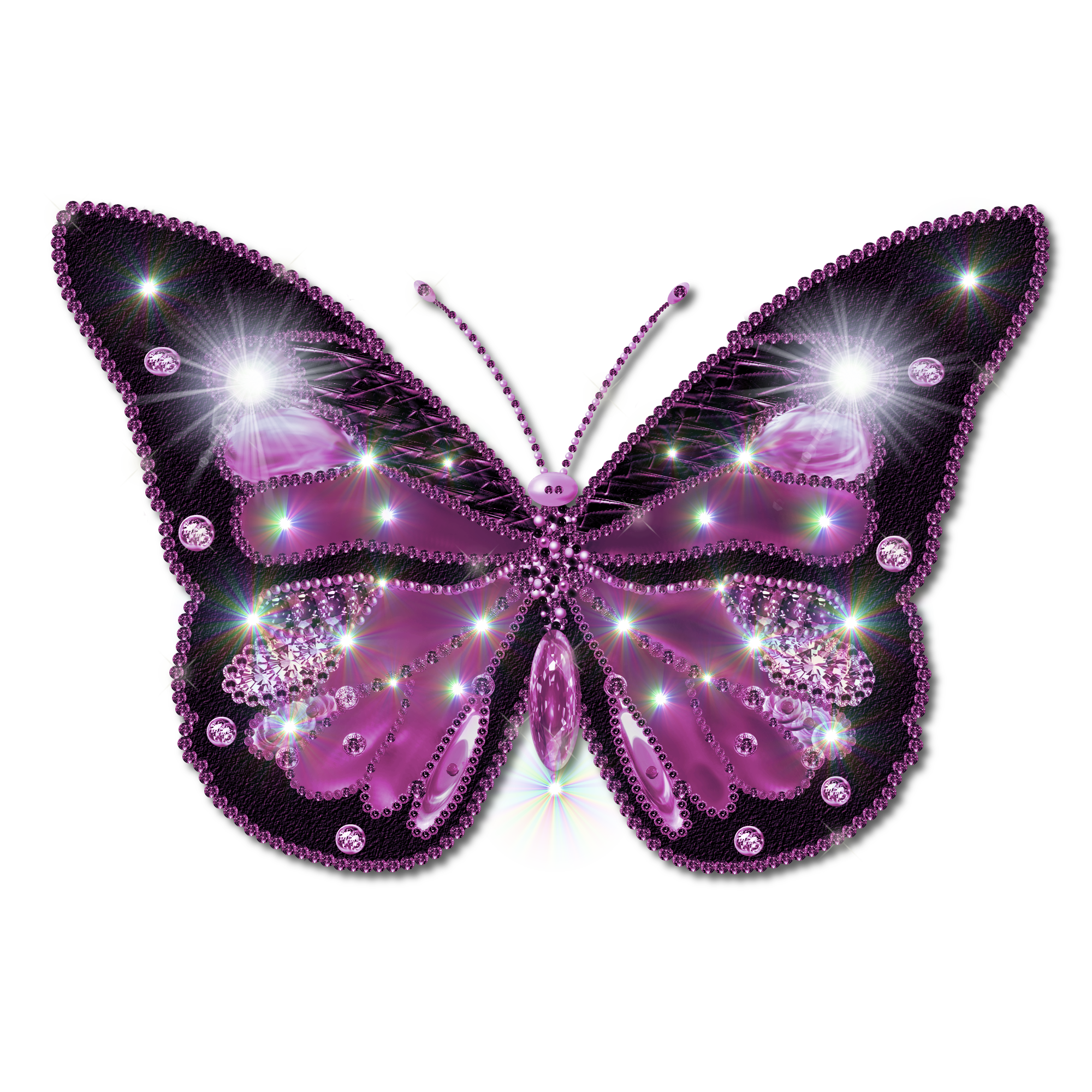 Изображения в формате gif. Красивые бабочки на прозрачном фоне. Бабочка рисунок на прозрачном фоне. Фиолетовые бабочки на прозрачном фоне. Бабочки для фотошопа.