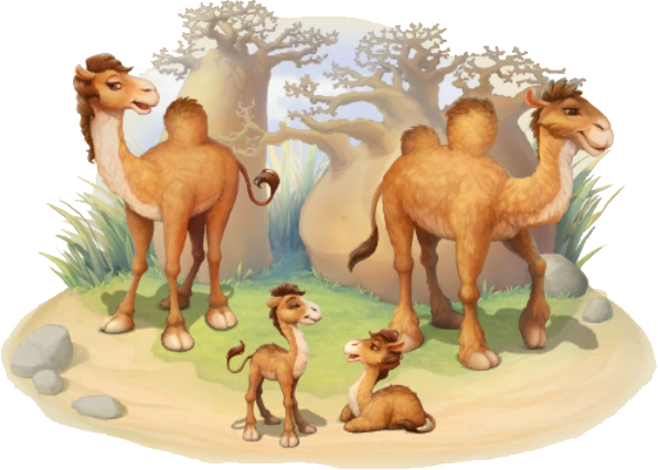 Camels PNG Free File Download