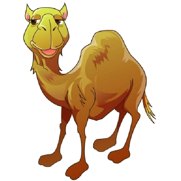 Camels PNG Pic Background