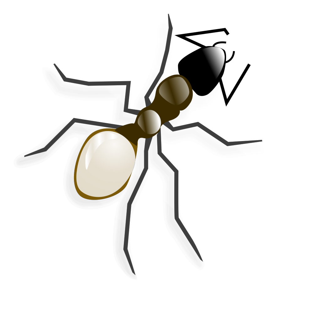 Carpenter Ant PNG Clipart Background