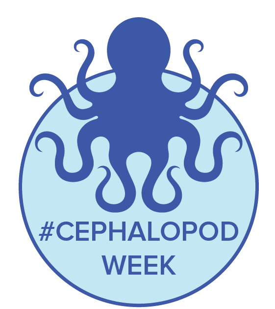 Cephalopod PNG Background
