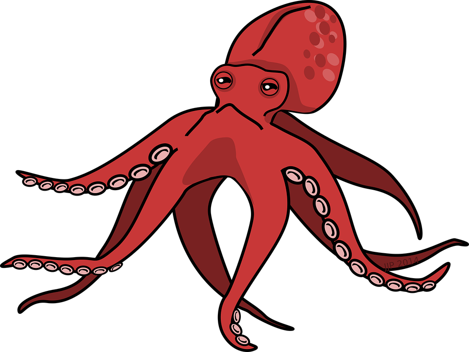 Cephalopod PNG Free File Download